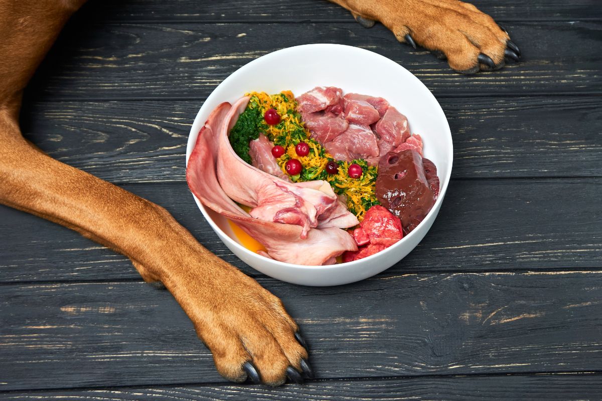 DOG FRESH FOOD Gold Coast Pet Centre