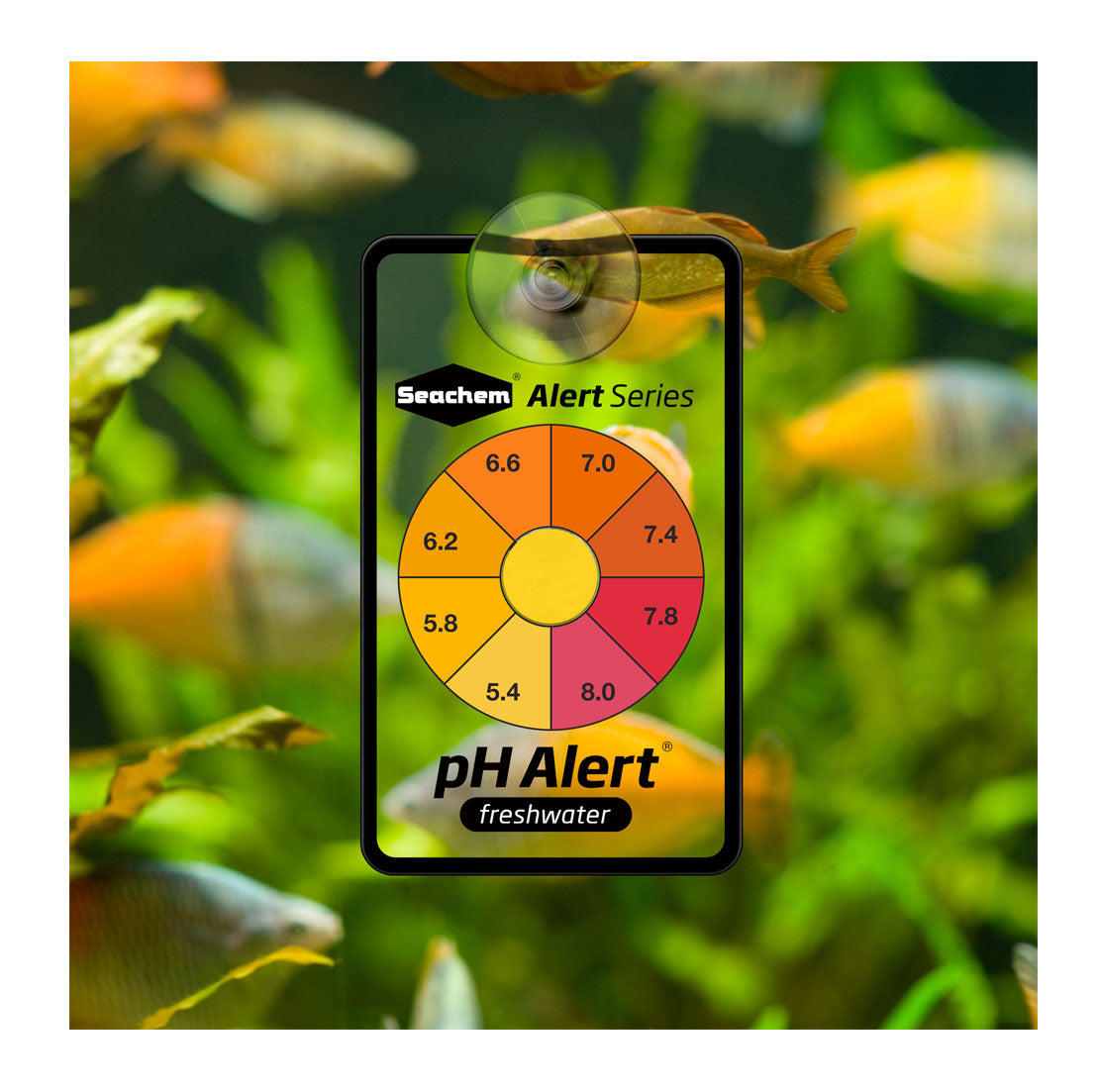 PH ALERT