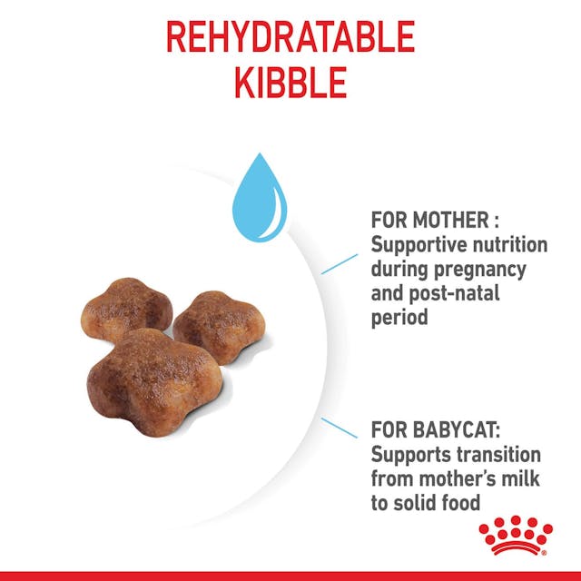 ROYAL CANIN CAT MOTHER & BABYCAT 2KG