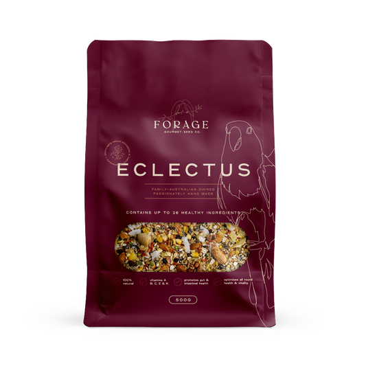 FORAGE ECLECTUS 500G