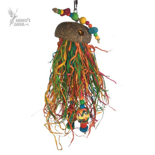 NINO'S JAVA JELLYFISH