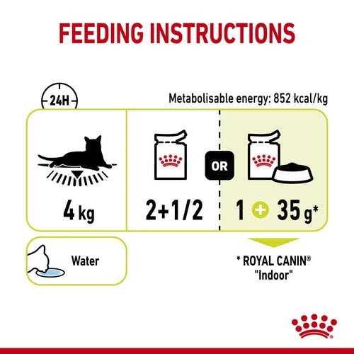 Pack of ROYAL CANIN CAT SENSORY SMELL GRAVY 85G X 12