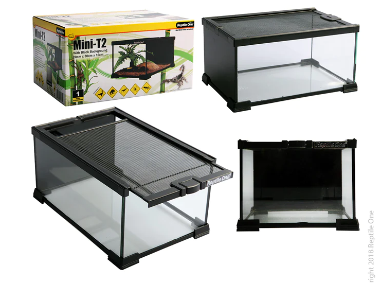 REPTILE ONE MINI T2 20 X 30 X 16 Gold Coast Pet Centre