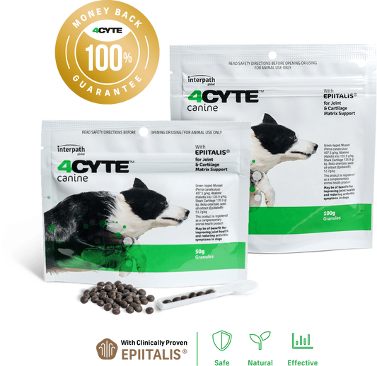 4CYTE ORAL JOINT SUPPLEMENT 100G