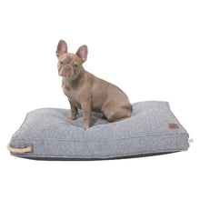 Load image into Gallery viewer, INDIE &amp; SCOUT PET PILLOW CHARCOAL MEDIUM