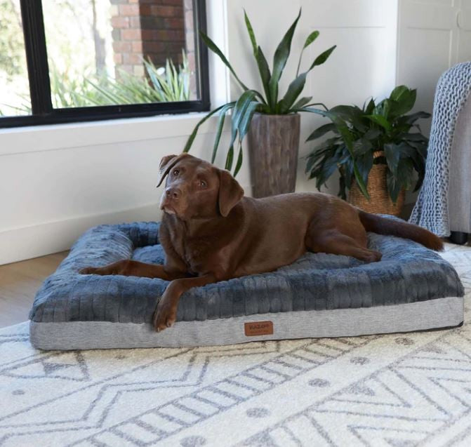 Kazoo dog clearance bed