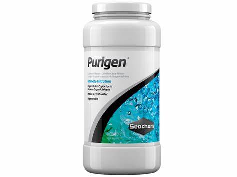 PURIGEN 500ML