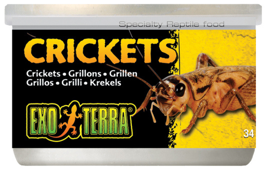 EXO TERRA CRICKETS SMALL 34G