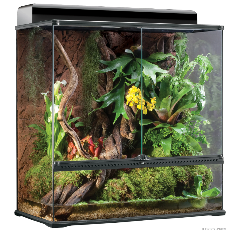 All shop glass terrarium