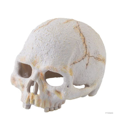 EXO TERRA PRIMATE SKULL LARGE