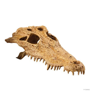 EXO TERRA CROCODILE SKULL MEDIUM