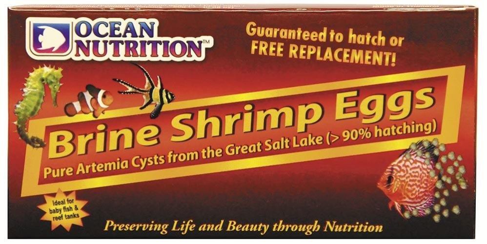 BRINE SHRIMP EGGS 50G