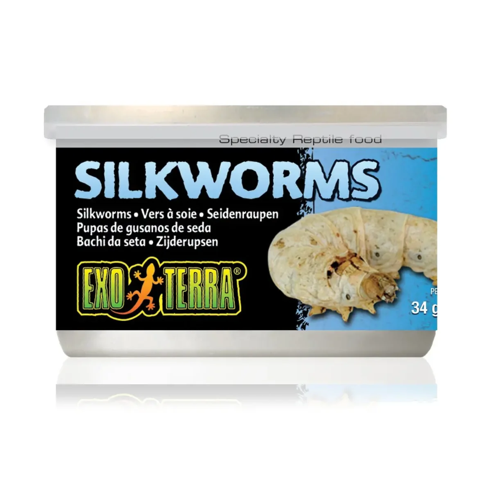 EXO TERRA WILD SILKWORMS MEDIUM 34G