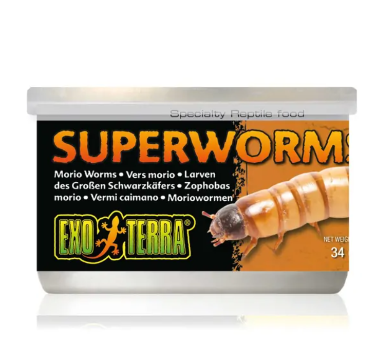 EXO TERRA CANNED SUPERWORMS 34G