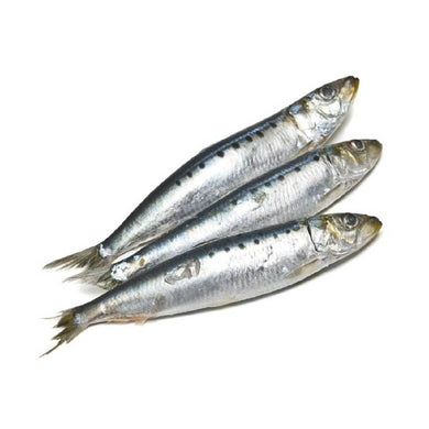 CANINE COUNTRY WHOLE SARDINES 1KG