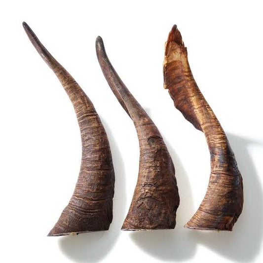 KAZOO PRIME CUTS GOAT HORN SMALL
