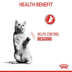 ROYAL CANIN CAT APPETITE CONTROL 2KG