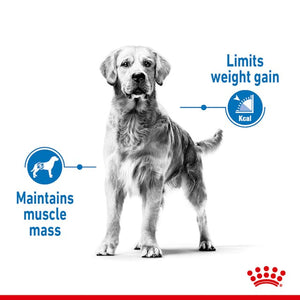 ROYAL CANIN DOG MEDIUM LIGHT 12KG