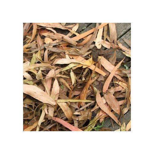FISH ORGANICS DRIED GUM LEAVES 150G