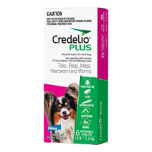 Load image into Gallery viewer, CREDELIO PLUS SMALL PINK 6&#39;S