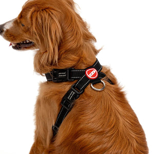 EZYDOG HARNESS CP M BLACK