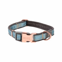 Load image into Gallery viewer, ROGZ COLLAR URBAN SMALL TURQUOISE