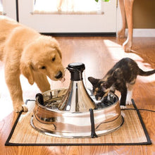 Load image into Gallery viewer, DRINKWELL® 360 STAINLESS STEEL PET FOUNTAIN