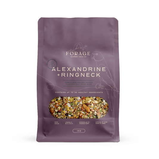 FORAGE RINGNECK & ALEXANDRINE 1KG