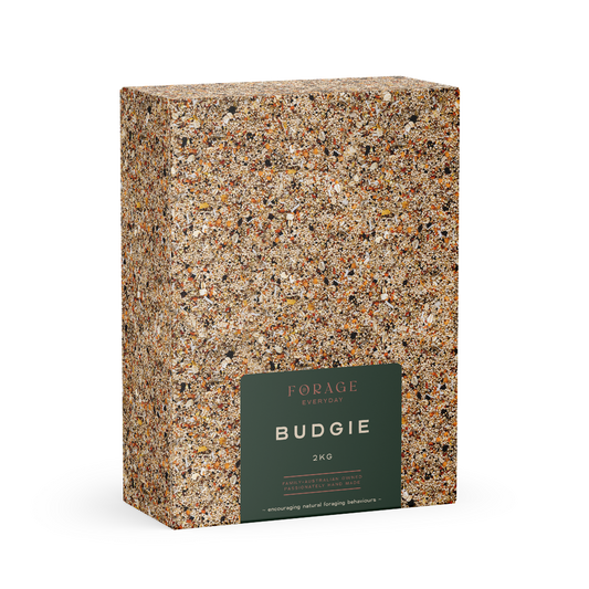 FORAGE EVERYDAY BUDGIE 2KG