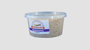 MINIBEAST LIVE MEALWORMS 50G