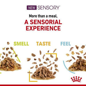 Pack of ROYAL CANIN CAT SENSORY SMELL JELLY 85G X 12