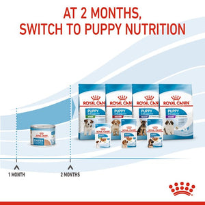 Pack of ROYAL CANIN DOG WET MOTHER BABYDOG STARTER MOUSSE 195G