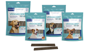 VEGGIEDENT FR3SH 15PK MEDIUM