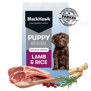 BLACK HAWK PUPPY MEDIUM BREED LAMB RICE 20KG