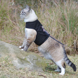 CATVENTURE CAT HARNESS BLACK MEDIUM