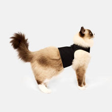 Load image into Gallery viewer, CATVENTURE CAT HARNESS BLACK MEDIUM