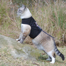 Load image into Gallery viewer, CATVENTURE CAT HARNESS BLACK LARGE