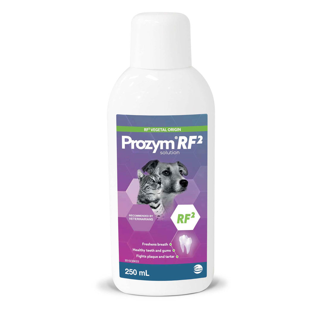 PROZYM DENTAL SOLUTION 250ML