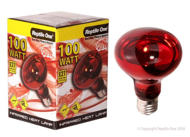 REPTILE ONE HEAT LAMP INFRARED MD 100W