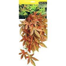 REPTILE ONE PLANT SATIVIA RED 40CM