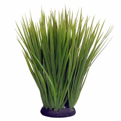 REPTILE ONE PLANT SPINIFEX GREEN