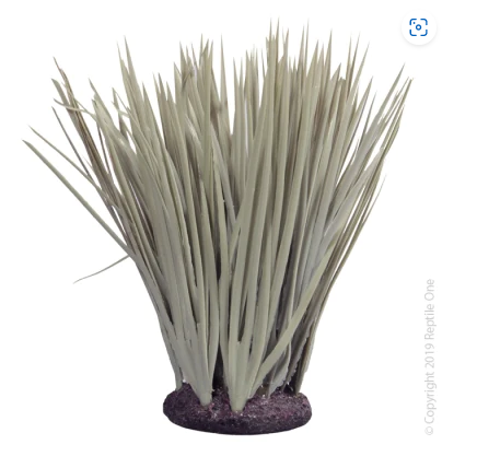 REPTILE ONE PLANT SPINIFEX GREY