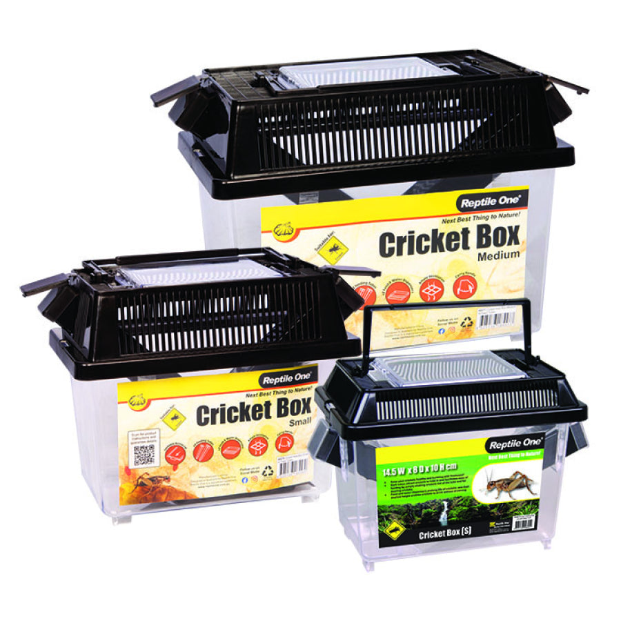 REPTILE ONE CRICKET HOLDING BOX SM WITH TUBES