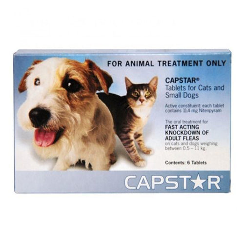 CAPSTAR SMALL DOGS & CATS 6PK