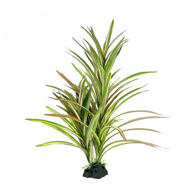 AMAZON JUNGLE UPRIGHT SPINIFEX XL 42CM