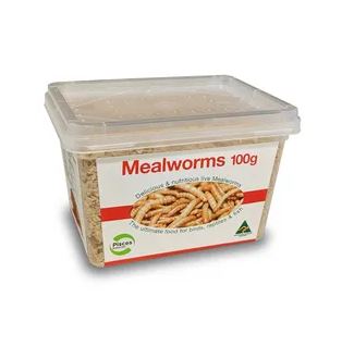 PISCES LIVE MEALWORMS 100G