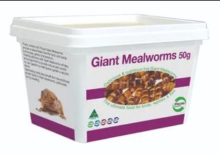 PISCES LIVE MEALWORMS GIANT 50G