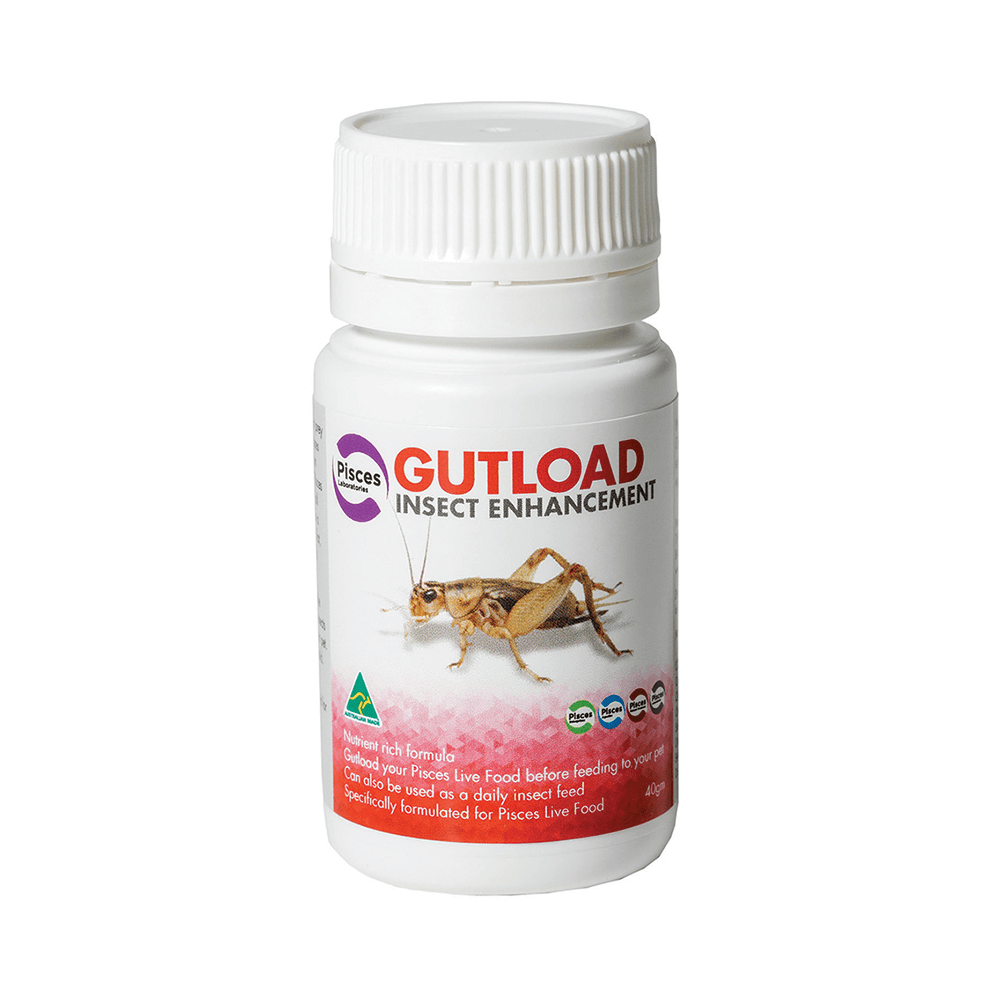 GUTLOAD INSECT ENHANCE 40G