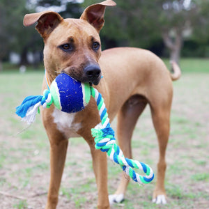 KAZOO TWISTED ROPE SLING TENNIS BALL LARGE