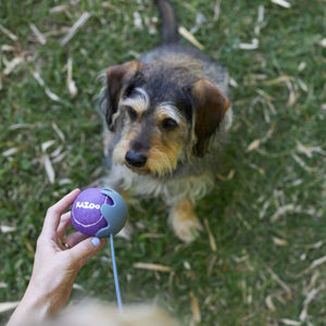 KAZOO ECO-FRIENDLY BALL THROWER SMALL